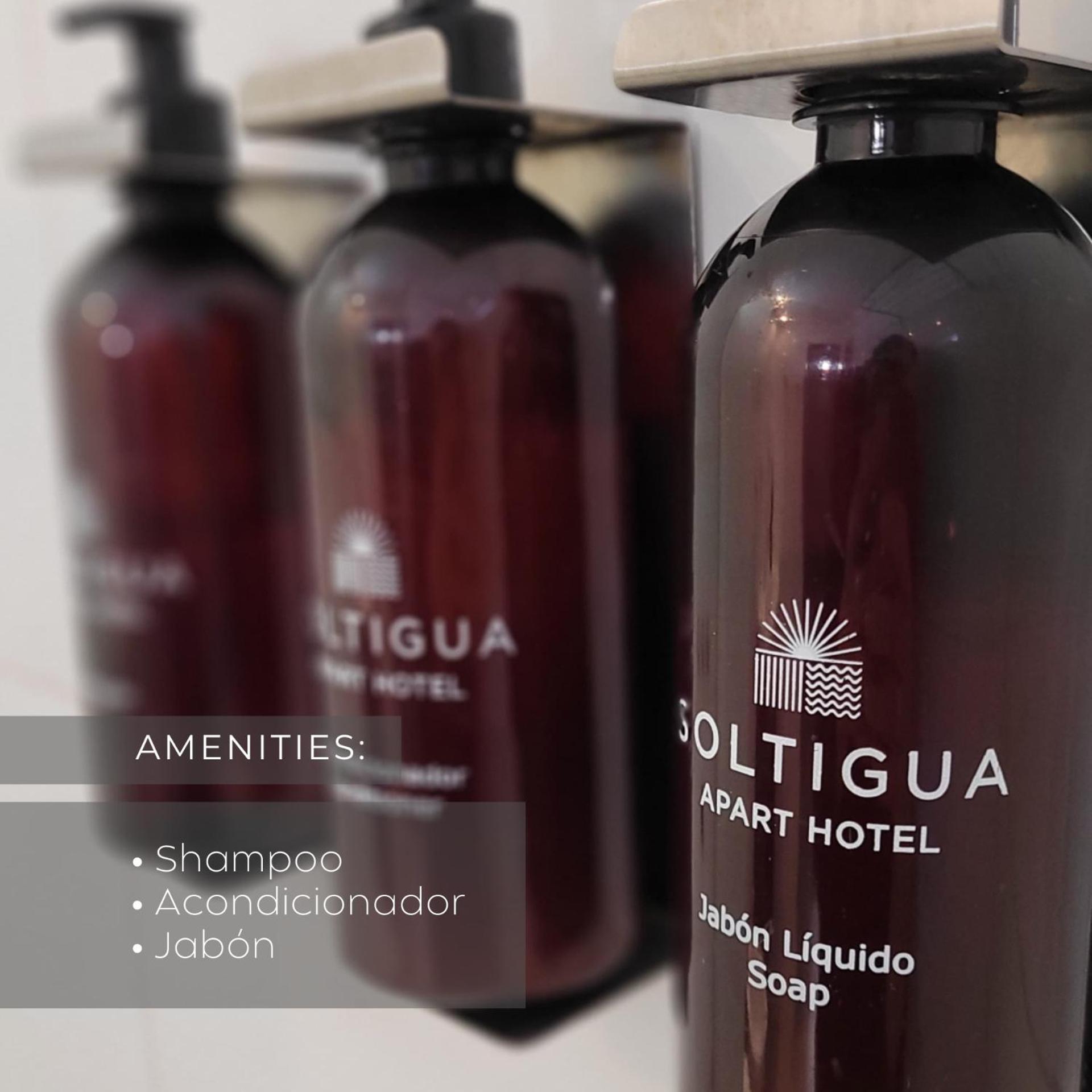 Soltigua Apart Hotel Mendoza Exteriér fotografie